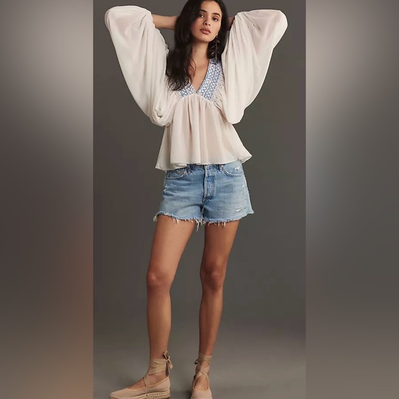 NWOT Anthropologie Women’s Sheer Smocked Babydoll White Blue Embroidered Top - M - Picture 2 of 10